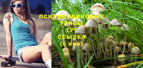 прущие грибы Абаза