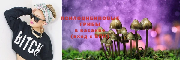 хмурый Алексин