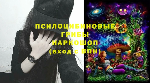 шишки Алзамай