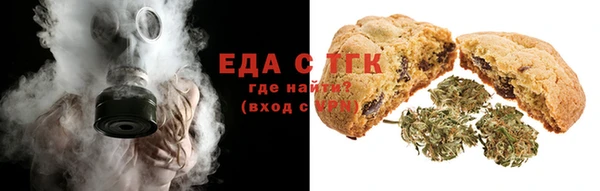хмурый Алексин