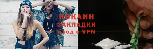прущие грибы Абаза