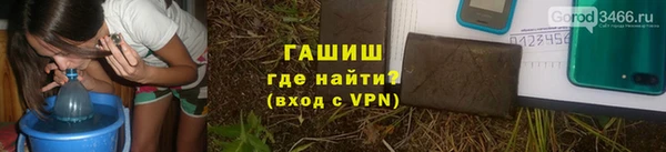 прущие грибы Абаза