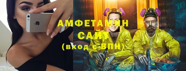 прущие грибы Абаза