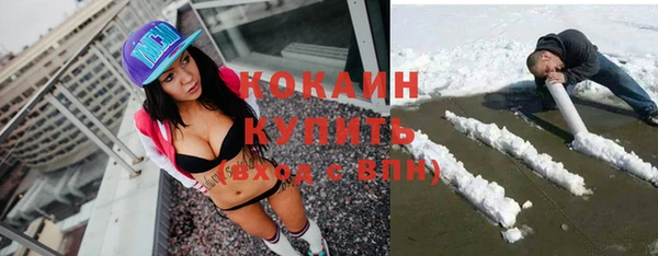 хмурый Алексин