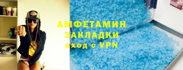 прущие грибы Абаза