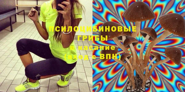 гидропоника Абдулино