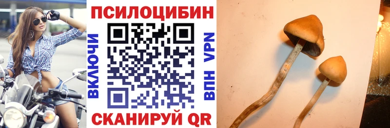 KRAKEN как зайти  Каменск-Уральский  Галлюциногенные грибы MAGIC MUSHROOMS 