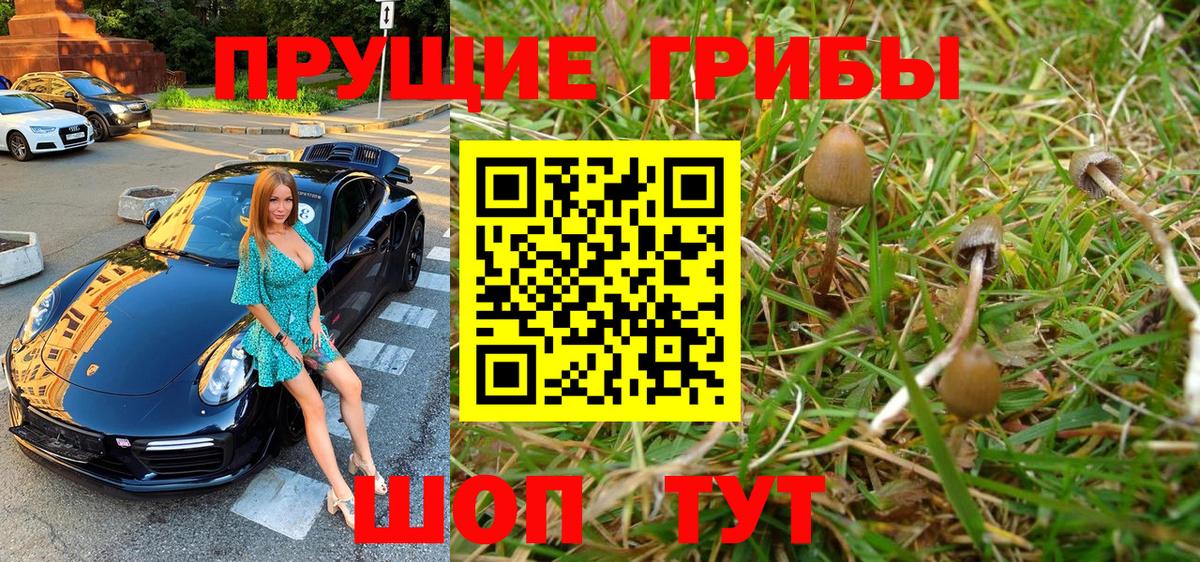 Галлюциногенные грибы Psilocybine cubensis Каменск-Уральский