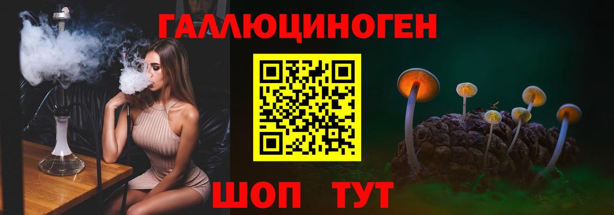Галлюциногенные грибы MAGIC MUSHROOMS  цены   Каменск-Уральский  Вход с VPN 